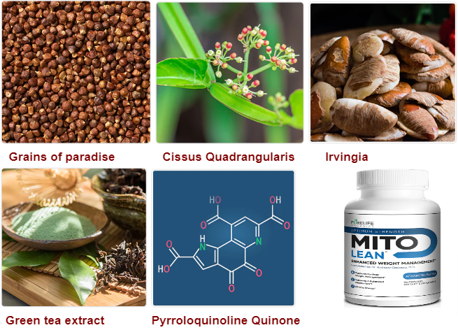 Mito Lean Ingredients